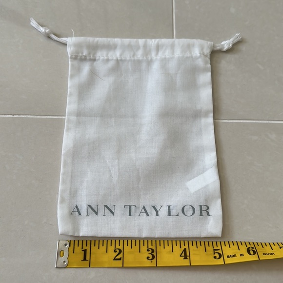 Ann Taylor dust bag - Picture 2 of 2